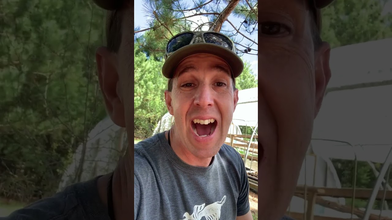 Mushroom Growing Workshop in Muskoka Ontario May 21 ~ Chris Outdoors