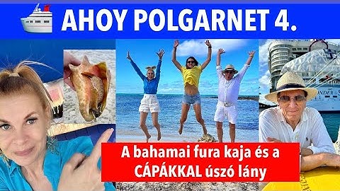 Ezt itt megeszik? -A MAGYAR lány, aki CÁPÁKKAL úszik és a BAHAMÁKON él  | Polgarnet