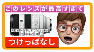 このレンズが最高すぎてつけっぱなし【ミラーレスカメラで日常を美しく残す】【ソニーの最高すぎるズームレンズ】