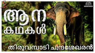 ആന കഥകൾ I തരവമപട ചനദരശഖരൻ