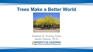 Trees Make a Better World, Webinar 3: Pruning Trees