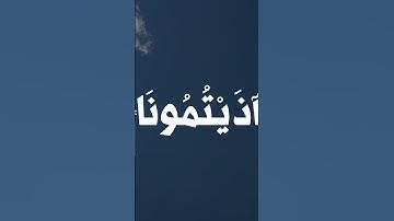 تلاوة هادئة للمنشاوي 🤍🥀 #المصحف #قرآن #المنشاوي #راحة_نفسية