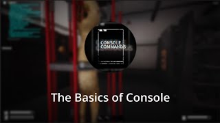 The BASICS of Console | Roblox SCP: Anomaly Breach 2