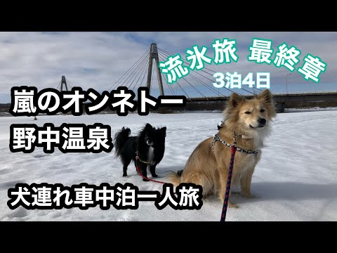 【犬連れ車中泊一人旅】流氷を見に行く旅最終章〜朝起きたらオンネトーは嵐だった…