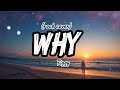 Why - Tiggy (rock cover by Before Next) (lyrics)