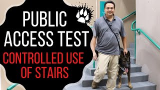 PUBLIC ACCESS TEST CONTROLLED USE OF STAIRS by Service dog club 215 views 3 years ago 6 minutes, 31 seconds