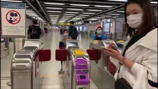 Numberblocks: Hong Kong Adventure (2022) Official Trailer