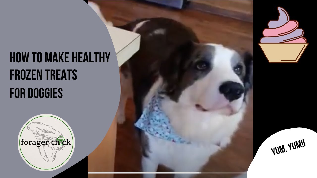 How To Make Healthy Frozen Treat For Doggies (Homemade Dogsters) YouTube