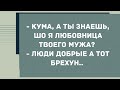 - Кума, а ты знаешь, шо я любовница твоего мужа? Сборник свежих анекдотов! Юмор!