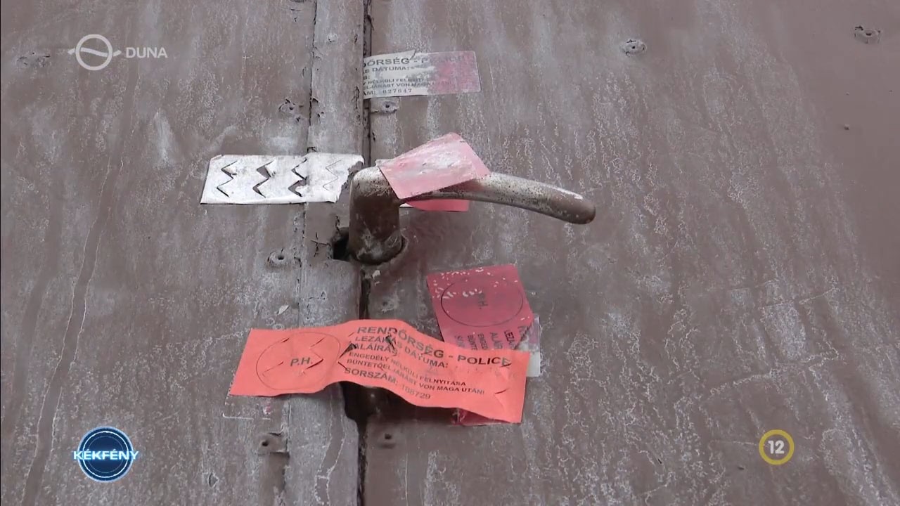 Kékfény - Lelketlen (2026.02.19.)