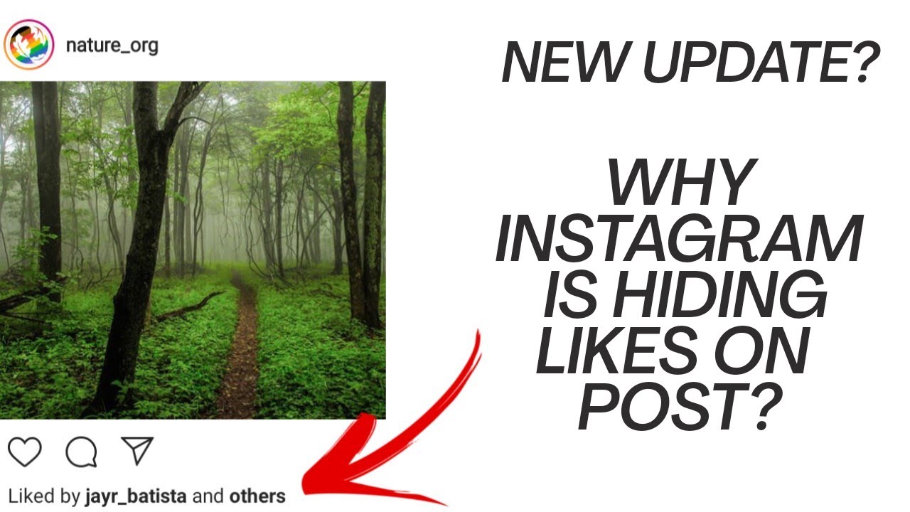 why-instagram-is-hiding-likes-on-post-instagram-not-showing-likes
