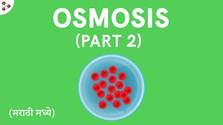 Cells - Lesson 07 | Osmosis - Part 2 - in Marathi (मराठी मध्ये) | Don't Memorise