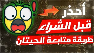 كيف تراقب تحركات محافظ الحيتان للعملات الرقمي وتوقع الاتجاه القادم راقب تحركاتهم