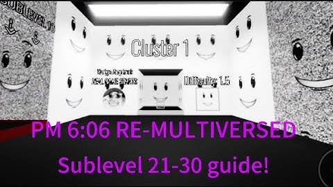PM 6:06 RE-MULTIVERSED Sublevel 21-30 guide!! (with a random person)