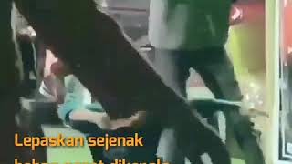 Bocil joget santuyy,story' wa..