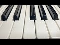 物語のように/坂本慎太郎 弾き語りcover