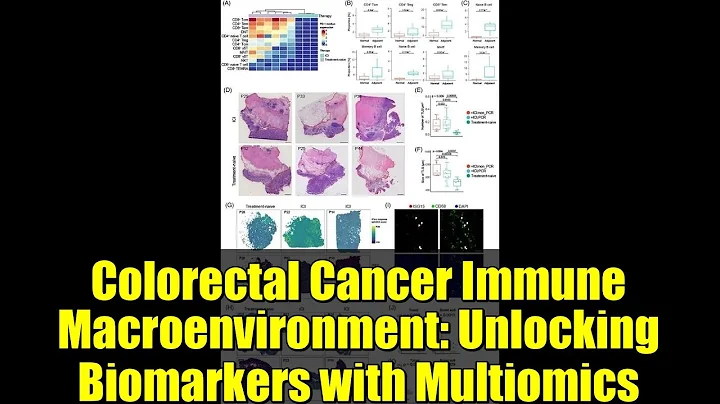 Colorectal Cancer Immune Macroenvironment: Unlocking Biomarkers with Multiomics