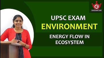 Energy Flow in Eco System|Food Chain & Food Web|Prakriti|UPSC Environment & Ecology