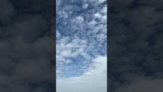 Ponmalai poluthu #ilayarajamelodyhits #spbalasubrahmanyam #vairamuthu #spbforever #naturelovers#