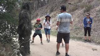 Bushman Scare Prank Compilation! Greatest Scares Ever!