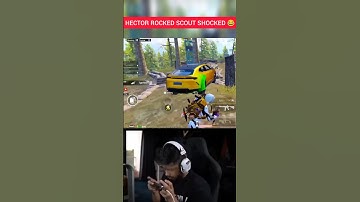 Hector Rocks Scout shocked .