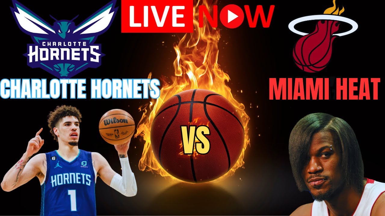 Charlotte Hornets VS Miami Heat live stream 10 October 2023, TANGO SOCIETY  KRONGUT