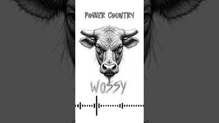 Album preview WOSSY – 1 Power Country EDM &amp; Techno Power Country #electronicmusic #edm #countryedm