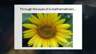 Cross Curricular Literacy - Why It Matters