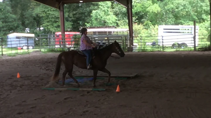 QVTRC #13 Basic  WT 50 - 59 Dorothy / Reese