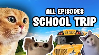 SCHOOL TRIP CAT MEME COMPILATION + PART 2