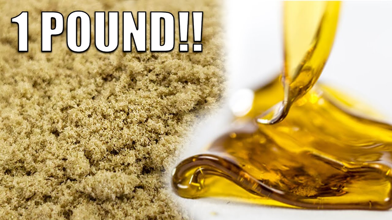 SIFTING ONE POUND OF WEED TRIM THEN MAKING 24 GRAMS OF FIRE CANNABIS CONCENTRATES