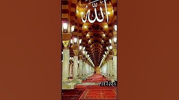 #تلاوة_خاشعة #المصحف #سوره
