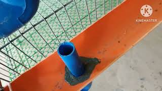 Quail Pugo Poultry Plumbing