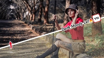 Dark Moody Lut For VN video editor | best color grading app 2021 | best video editing app 2021
