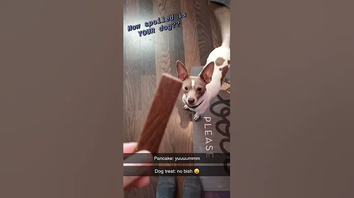 Picky Pupper!
