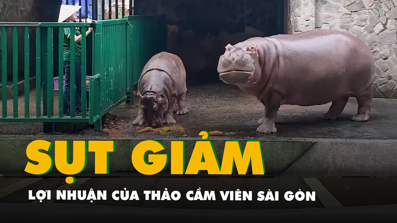 Lợi nhuận của Thảo cầm viên Sài Gòn sụt mạnh, khoảng 40%