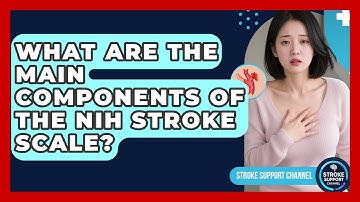 What Are the Main Components of the NIH Stroke Scale? | Stroke Support Channel