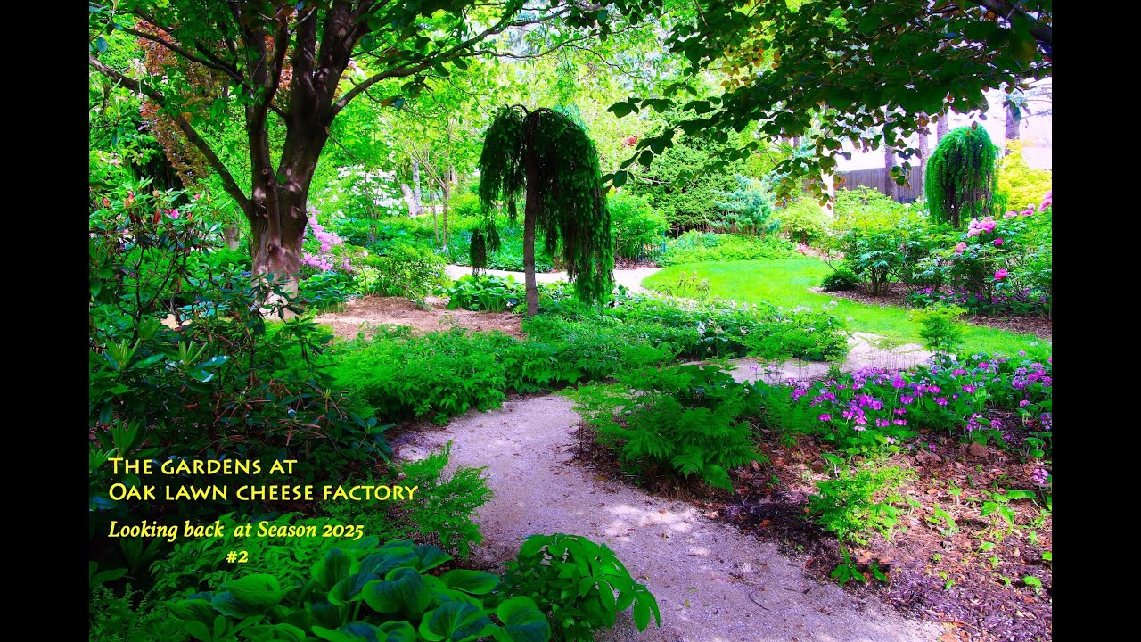 The Gardens at Oak Lawn Cheese Factory: 2025 review #2