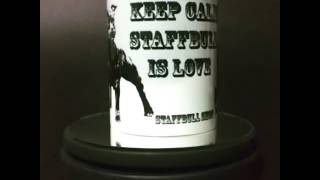 Staffbull Shop Staffordshire Bull Terrier Staffies Staffy Sbt Staff Stafford Cachorro Dogs Dog Cães