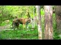 @Tiger, @Chita,