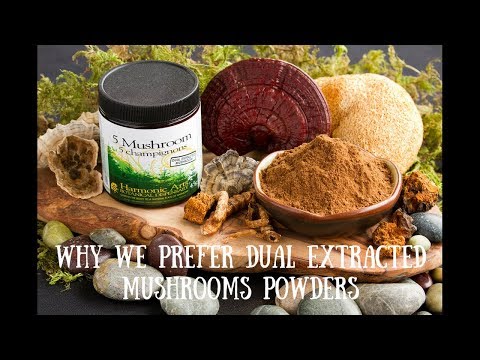 Dual Extracted Mushroom Powders | Harmonic Arts