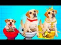 Birth To Death of My Dog *emotional* Death prank of my dog | Rich VS poor dogs