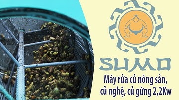 Máy rửa củ quả | Máy rửa củ nông sản, củ nghệ, củ gừng năng suất cao