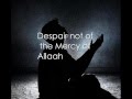 Salman Utaybi Surah Az Zumar 53 61 Ayah Of Repentance English Subtitles 