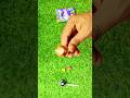 New And Amazing Lolipop Dairy Milk Lolly Unpacking ASMR #shortvideo #lollipop #shorts