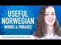 Useful Norwegian Words & Phrases to Speak Like a Native