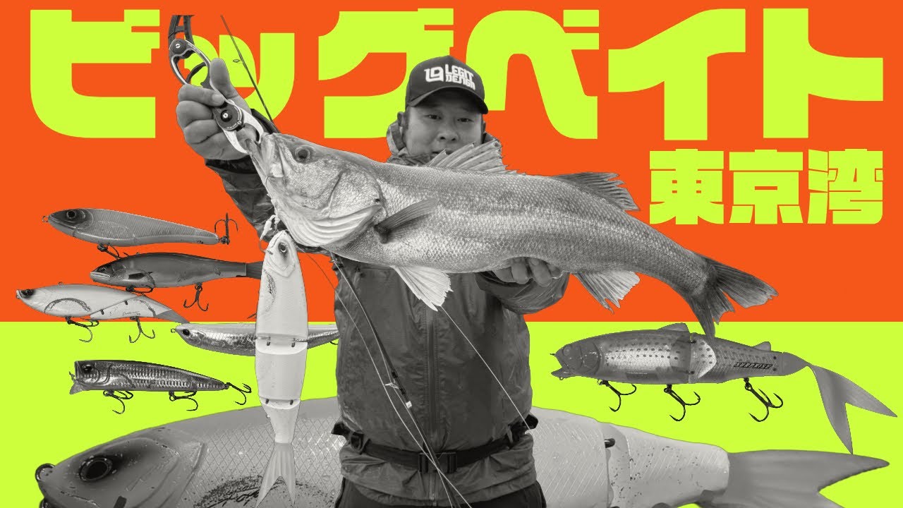 SKUAD：ボートシーバス | LEGIT DESIGN