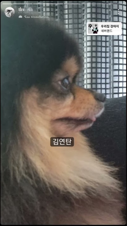 taehyung today's insta story😘😍~yeontan💜||#thv #taehyung #subscribe