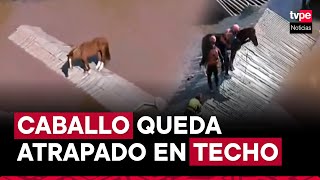 Increíble rescate a caballo atrapado en un techo tras una inundación en Brasil