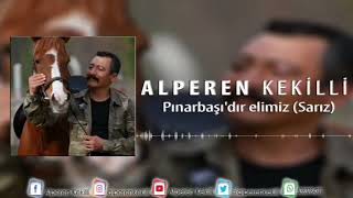 Alperen kekilli~ Pınarbaşıdır  elimiz (SARIZ) Resimi